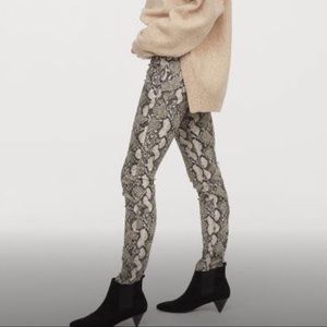 Snake Print Pant